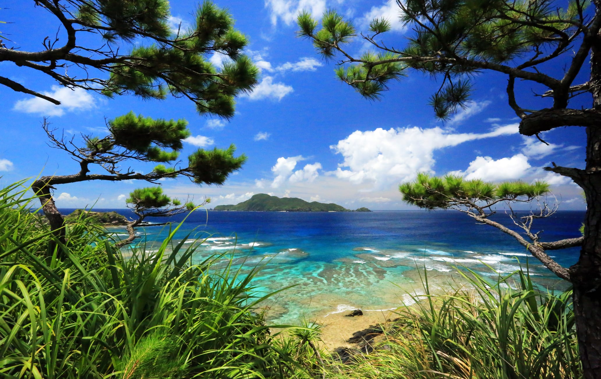 Okinawa além das praias: cultura Ryukyu, recifes e memória no sul do Japão