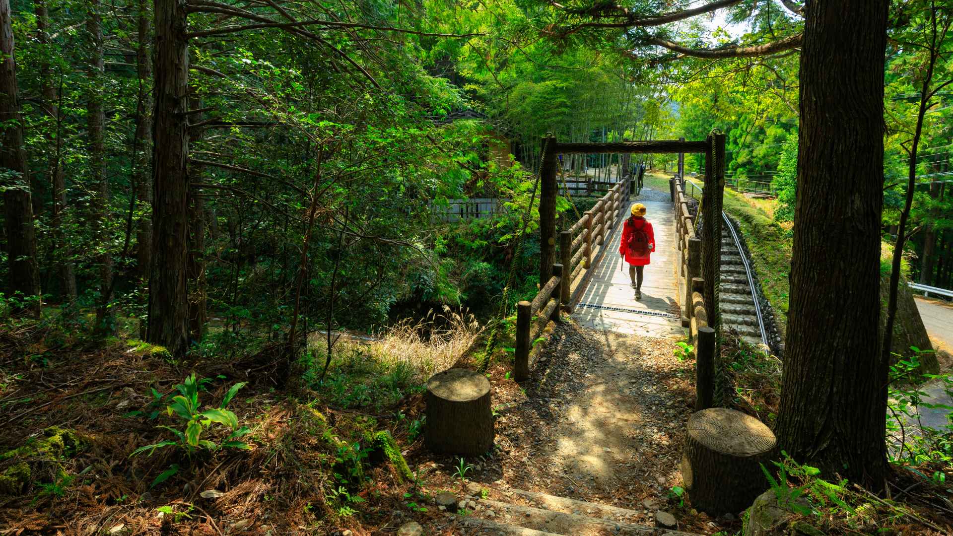 Kumano Kodo: uma jornada a pé pelo Japão espiritual