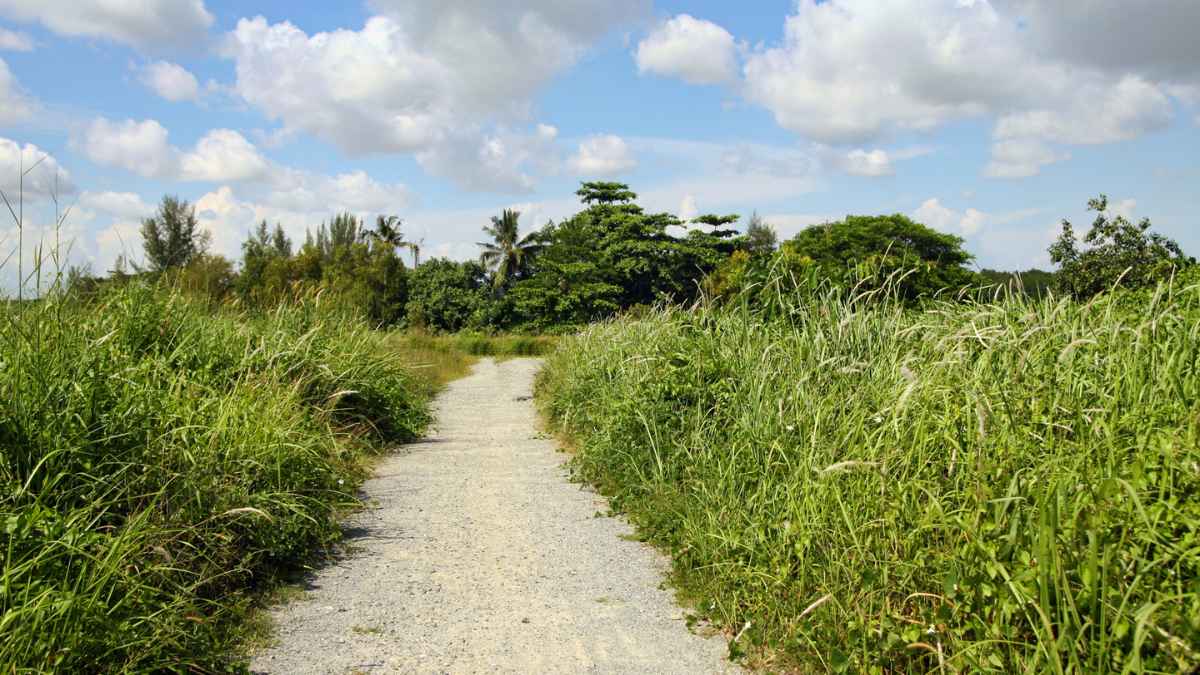 Singapura