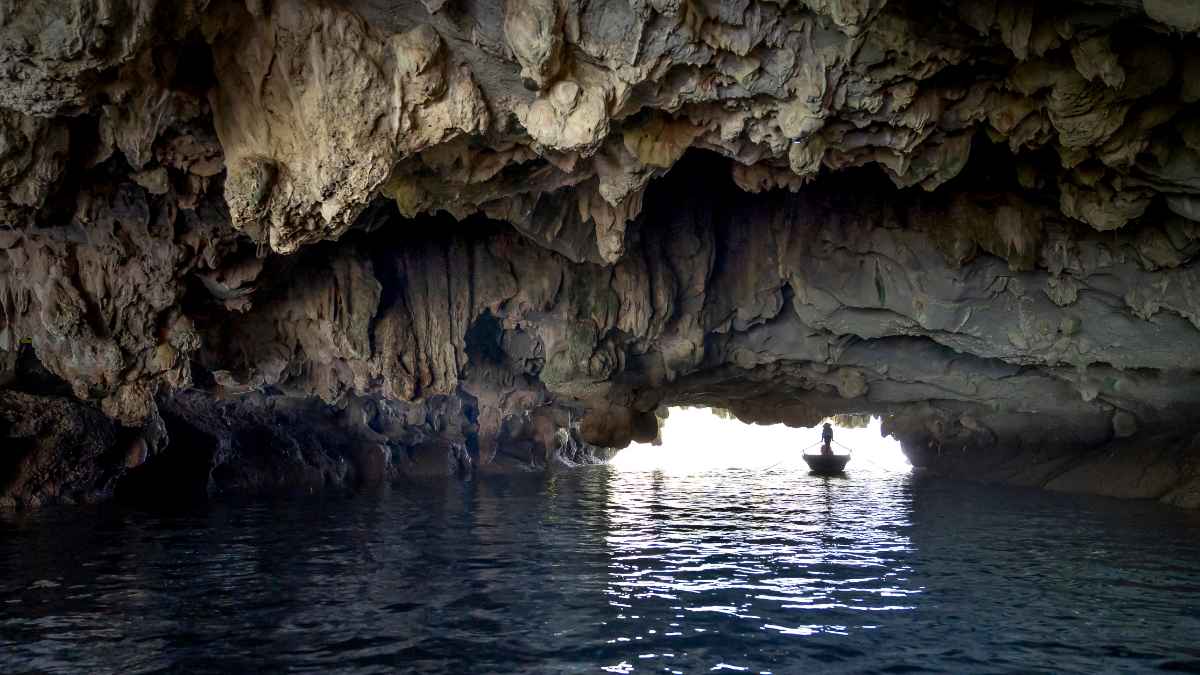 Vietnã
