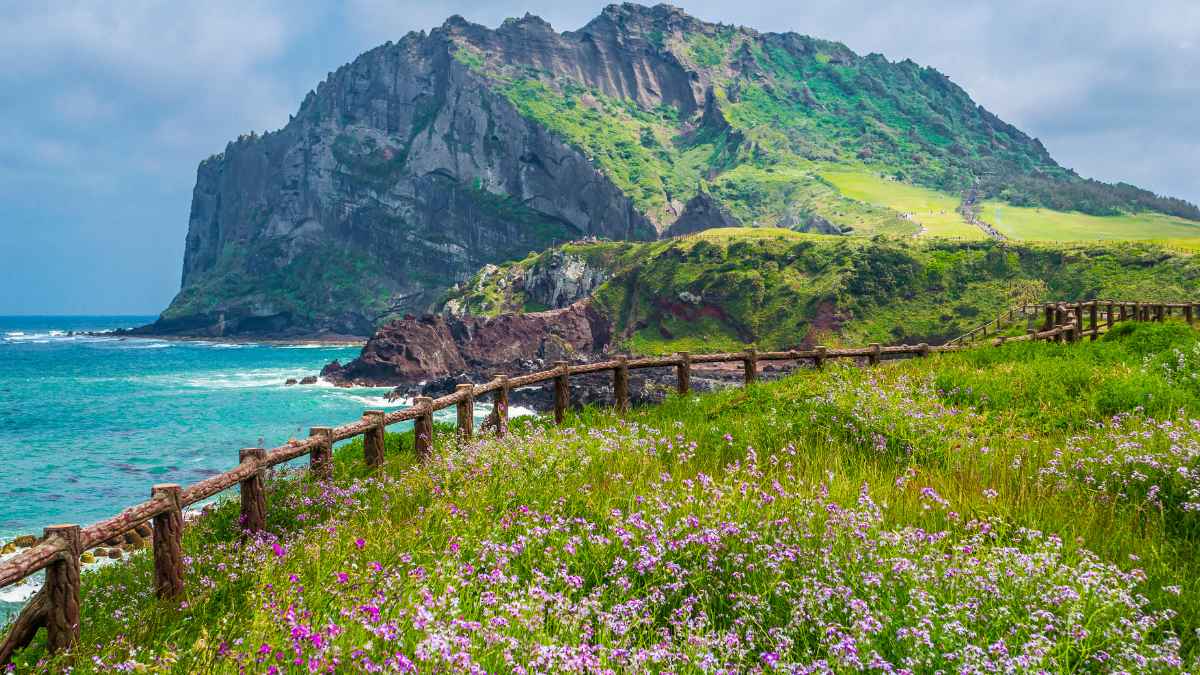 Coreia do Sul