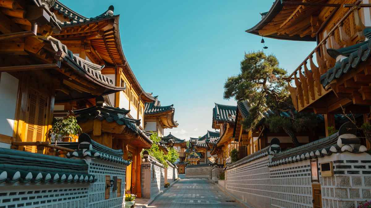 Coreia & Japão na Primavera — Cerejeiras 2027