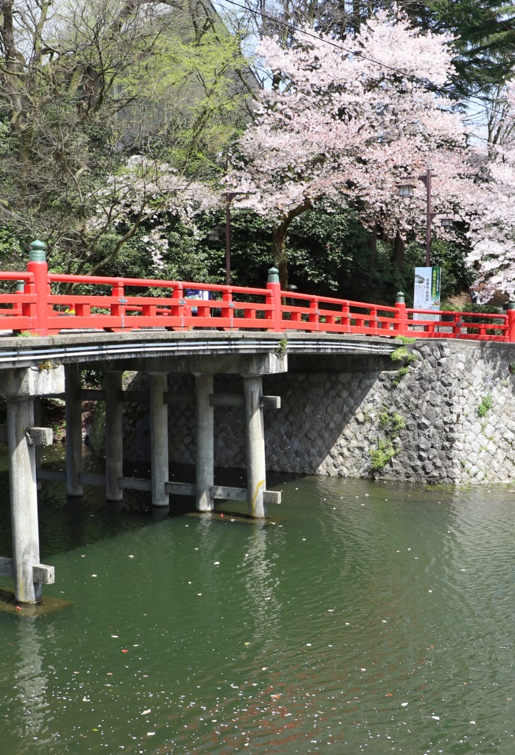 Toyama entre os Alpes e o mar: vilarejos históricos, paisagens alpinas e sabores da baía
