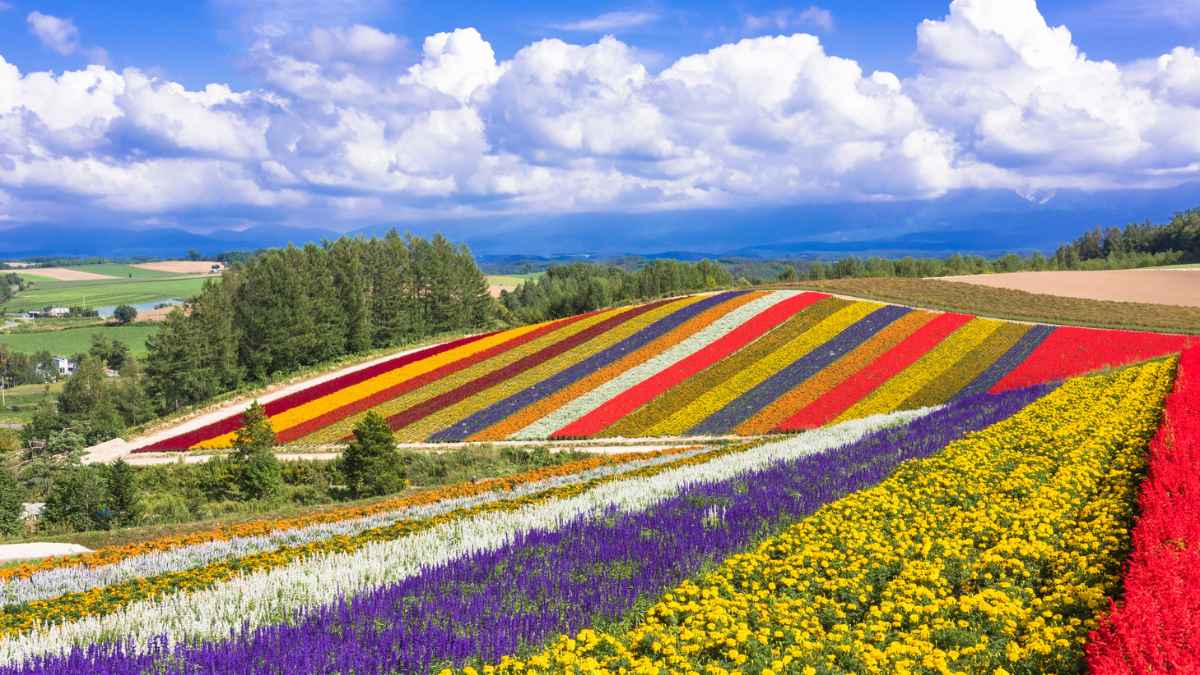 Japão