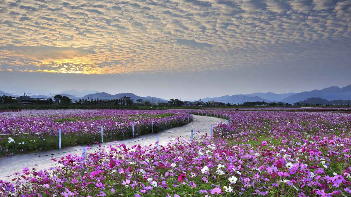 Taiwan