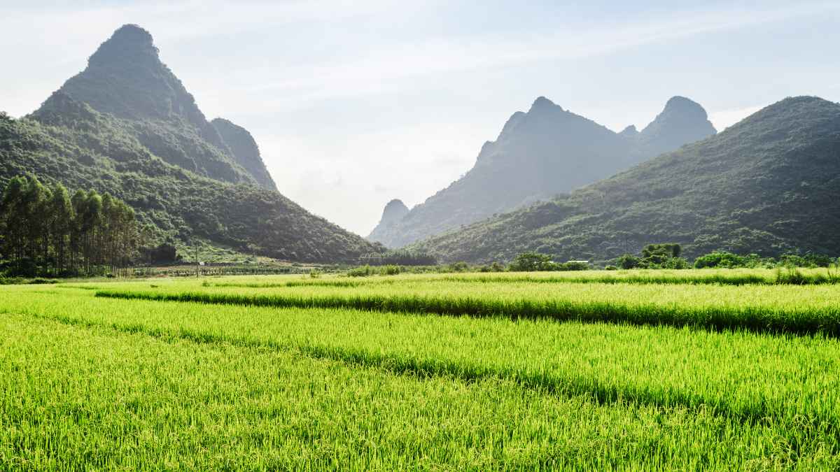 China