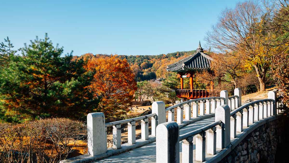 Coreia do Sul